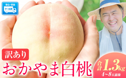 【2026年発送 先行予約開始!】 桃 〜とろける甘さ 味に訳なし!!〜 訳あり 岡山の桃 約1.3kg 4~8玉前後 岡山県産《2026年6月下旬-9月下旬頃出荷》岡山県 浅口市 白桃 黄桃 はなよめ 日川白鳳 白鳳