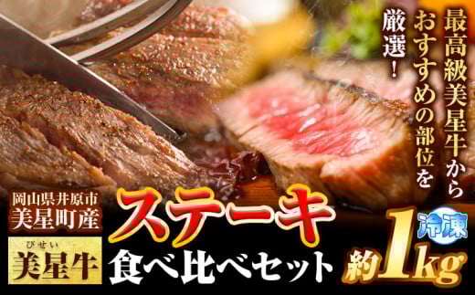 ステーキ 美星牛 食べ比べセット 1kg 美星ミート《30日以内に発送予定(土日祝除く)》岡山県 浅口市 ステーキ肉 牛肉 牛 厳選 霜降り 冷凍 食べ比べ セット 岡山県浅口市53000肉牛肉