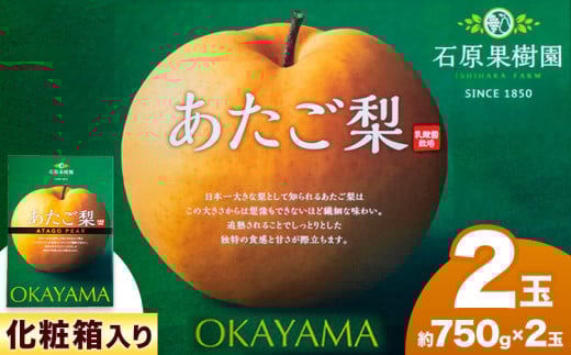 y2025Ns\z  750g×2 ϔ Όʎ s2025N11{-2026N1{oׁtR s t[c ʕ Mtg 蕨 Y RY Rs15000ʕEt[c