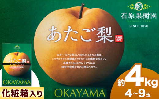 【2025年先行予約】あたご 梨 4〜9玉 約4kg 化粧箱 石原果樹園 《2025年11月中旬-1月上旬頃出荷》岡山県 浅口市 フルーツ 果物 ギフト 贈り物 国産 岡山県産 岡山県浅口市23000果物・フルーツりん