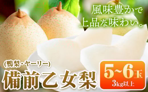【先行予約】梨 なし 乙女梨 5~6玉 3kg 以上 石原果樹園 なし フルーツ 果物 新鮮《2025年11月下旬-2026年1月上旬頃より発送予定》岡山県 浅口市 果物 フルーツ 梨 鴨梨 備前乙女梨 ヤーリー岡山