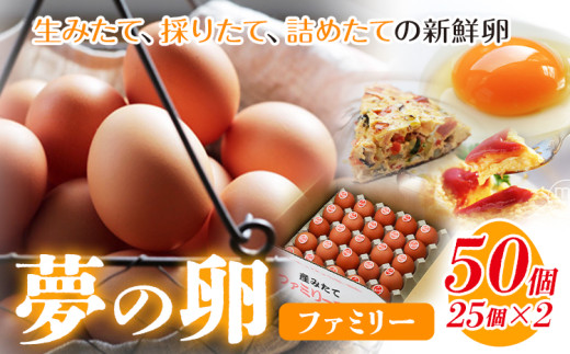卵 たまご 赤玉 夢の卵 ファミリー 50個《90日以内に出荷予定(土日祝除く)》株式会社めぐみ 岡山県 浅口市  25個 × 2セット たっぷり 家族 食卓岡山県浅口市17500卵・乳製品卵(鶏、烏骨鶏等)