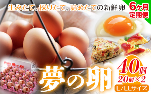 6ヶ月 定期便 卵 たまご 定期便 夢の卵 20個入り x 2セット L/LLサイズ《お申込み月翌月から出荷開始》株式会社めぐみ 岡山県 浅口市  大容量 大箱 たっぷり Lサイズ LLサイズ岡山県浅口市90500