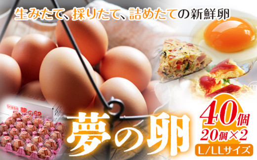 卵 たまご 赤玉 夢の卵 20個入り x 2セット L/LLサイズ《90日以内に出荷予定(土日祝除く)》株式会社めぐみ 岡山県 浅口市  大容量 大箱 たっぷり Lサイズ LLサイズ岡山県浅口市17000卵・乳製品卵