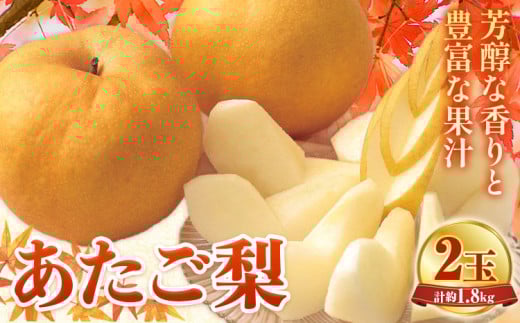 【2025年先行予約】あたご梨 2玉 計約1.8kg 環山堂株式会社《2025年11月下旬-12月下旬頃より発送予定》岡山県 浅口市 梨 なし 和梨 果物 フルーツ 岡山県浅口市15000果物・フルーツりんご・梨