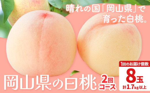 【先行予約】岡山の白桃2回コース 8玉 (1.7kg以上) 株式会社山博 (中本青果)《2026年7月上旬から8月上旬頃出荷》岡山県 浅口市 桃 もも フルーツ  冷蔵 定期便【配送不可地域あり】岡山県浅口