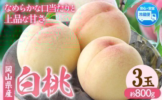 【2026年先行予約】岡山県産 白桃 内容量 3玉(約800g) クール便 晴れの国 おかやま館(フルーツランド岡山) 《2026年7月中旬-7月下旬頃出荷》岡山県 浅口市 白桃 桃【配送不可地域あり】(離