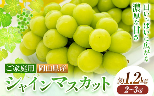 【2026年先行予約】ご家庭用 岡山県産 シャインマスカット 約1.2kg ( 2〜3房 ) クール便 晴れの国 おかやま館 (つむぐ株式会社) 《2026年9月上旬-10月下旬頃出荷》岡山県 浅口市 マスカット ぶど