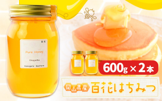 ݂͂ I S 600g 2{ {I s30ȓɏoח\(yj)t R s  n`~c SԖ SԂ݂͂ RYRs19000ZbgE؁EHHiWE