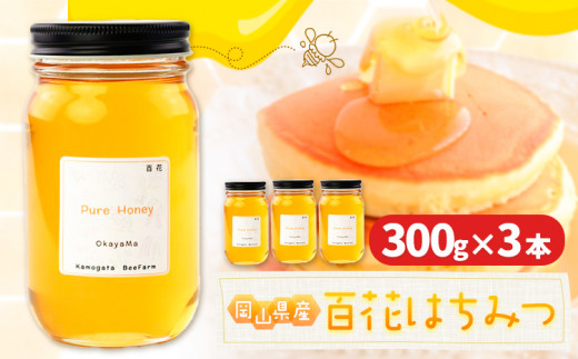 はちみつ 蜂蜜 百花 300g 3本 かもがた養蜂 《30日以内に出荷予定(土日祝除く)》 岡山県 浅口市  ハチミツ 百花蜜 百花はちみつ 岡山県産岡山県浅口市18500鍋セット・総菜・加工食品ジャム・は