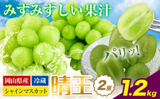 【2026年先行予約】シャインマスカット 岡山県産 シャインマスカット 晴王 2房 約1.2kg《2026年9月上旬-10月末頃出荷》 ハレノフルーツ マスカット  岡山県 浅口市 フルーツ 果物 贈り物 ギフト