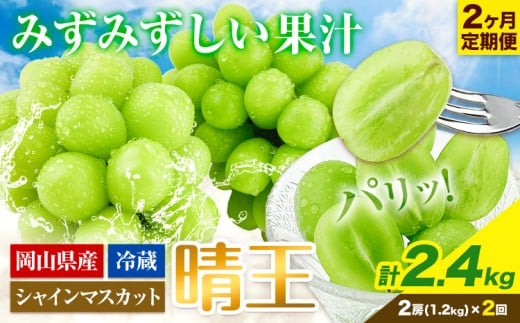 シャインマスカット 2ヶ月 定期便【2026年先行予約】シャインマスカット 晴王 約1.2kg 岡山県産《9月上旬-10月末頃出荷(土日祝除く)》 ハレノフルーツ マスカット  岡山県 浅口市 フルーツ 果