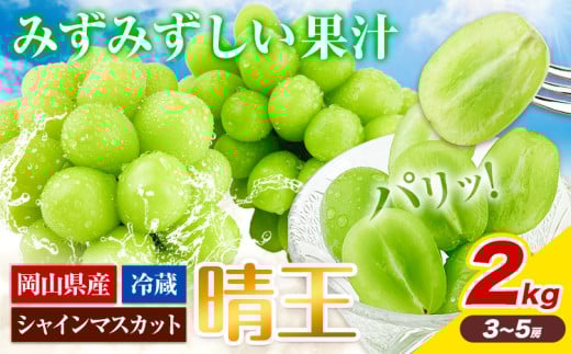 y2026Ns\zԂǂ VC}XJbg  2kg 3[-5[ RYs2026N9{-10oׁt nmt[c }XJbg  R s t[c ʕ 蕨 Mtg Y R