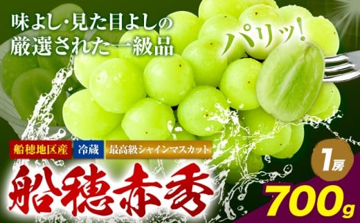 【2026年発送先行予約】最高級 シャインマスカットぶどう 船穂赤秀 1房 700g 岡山県産《2026年9月上旬-10月末頃出荷》 ハレノフルーツ マスカット  岡山県 浅口市 フルーツ 果物 贈り物 ギフト
