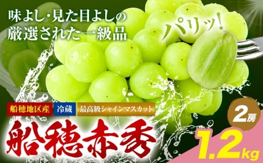 【2026年発送先行予約】最高級 シャインマスカット ぶどう 船穂赤秀 2房 1.2kg 岡山県産《2026年9月上旬-10月末頃出荷》 ハレノフルーツ マスカット  岡山県 浅口市 フルーツ 果物 贈り物 ギフト