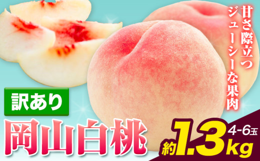 桃 訳あり桃【2026年先行予約】訳あり 白桃 桃 1.3kg ハレノフルーツ (犬塚農園) 《2026年6月末-8月中旬頃出荷》岡山県 浅口市 フルーツ モモ 果物 青果 旬 おかやま夢白桃 白麗 白鳳 清水白桃