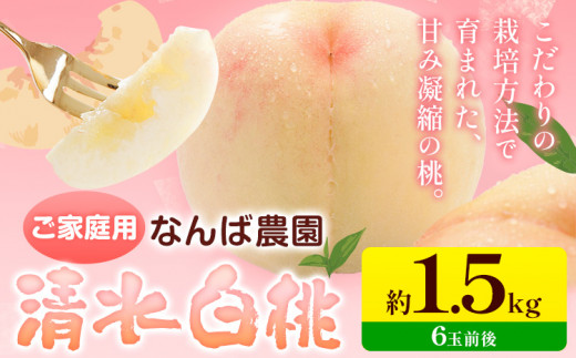 桃 もも【2026年先行予約】ご家庭用 清水白桃 約1.5kg ( 6玉 前後 ) 《2026年7月上旬-7月下旬頃出荷》なんば農園 岡山県 浅口市 フルーツ モモ 果物 青果 旬 白桃 桃 訳アリ わけあり 訳あり【配送