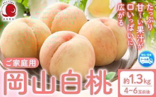 桃 もも【2026年先行予約】ご家庭用 岡山白桃 約1.3kg (4~6玉前後) 赤木農園 《2026年7月上旬-8月上旬頃出荷》 岡山県 浅口市 フルーツ モモ 果物 青果 旬 白桃 桃 【配送不可地域あり】岡山県浅