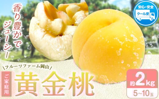 桃 もも【2026年先行予約】桃 黄金桃 ご家庭用 選べる内容量 2kg (5〜8玉) フルーツファーム岡山《2026年8月中旬-8月末頃出荷》岡山県 浅口市  フルーツ モモ 果物 青果 旬 国産 岡山県産【配送