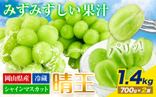 【2026年先行予約受付】ぶどう シャインマスカット 晴王 1.4kg 2房 岡山県産《2026年7月上旬-8月末頃出荷》 ハレノフルーツ マスカット  岡山県 浅口市 フルーツ 果物 国産 岡山県産 くだもの