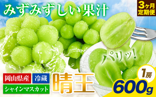 【2026年先行予約】ぶどう 3ヶ月 定期便 シャインマスカット 晴王 600g 岡山県産《2026年7月上旬-9月末頃出荷》 ハレノフルーツ マスカット  岡山県 浅口市 フルーツ 果物 国産 岡山県産【配送
