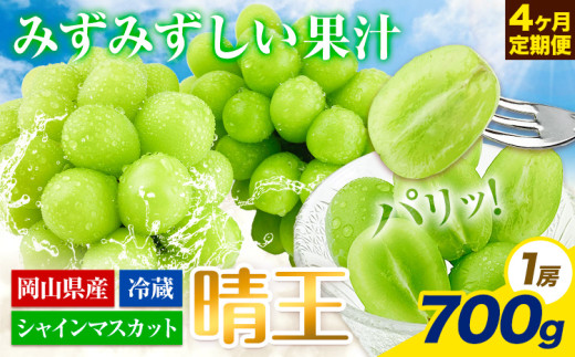【2026年先行予約】ぶどう 4ヶ月 定期便 シャインマスカット 晴王 700g 岡山県産《2026年7月上旬-10月末頃出荷》 ハレノフルーツ マスカット  岡山県 浅口市 フルーツ 果物 国産 岡山県産【配送