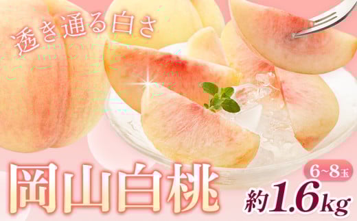 y2026Ns\z R 1.6kg 6-8 Зs2026N7{-7oׁt R s RY  t[c ʕ   Rs20000ʕEt[cE