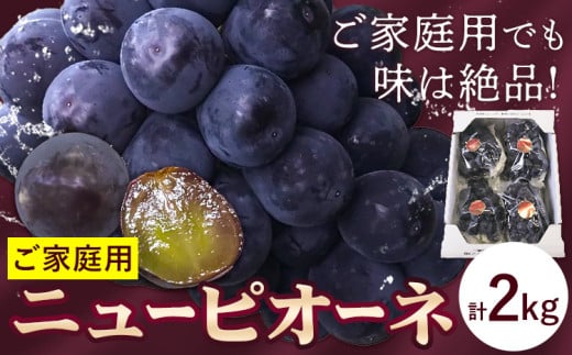 【2026年先行予約】訳あり ぶどう ニューピオーネ ご家庭用 計2kg たけまさぶどう園 《2026年7月下旬-10月上旬頃出荷》岡山県 浅口市  フルーツ 果物 岡山県産 青果物 お取り寄せフルーツ【配