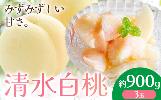 【2026年先行予約】清水白桃 約900g もも モモ 岡山 国産 フルーツ 果物 桃茂實苑《2026年7月中旬-8月上旬頃出荷》岡山県 浅口市 フルーツ モモ 果物 青果 旬 白桃 国産 岡山県産【配送不可地域