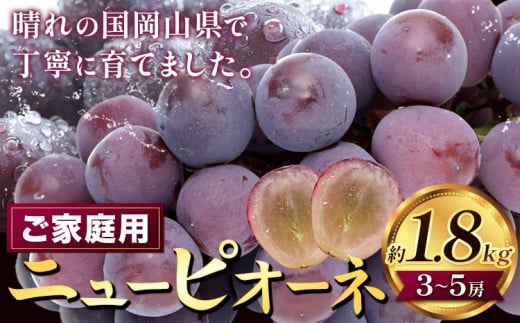 【2026年先行予約ぶどう ニューピオーネ ご家庭用 約 1.8kg 3〜5房《2026年8月上旬-9月中旬頃出荷》株式会社fruceed ぶどう  岡山県 浅口市 ぶどう フルーツ 果物 くだもの ピオーネ 家庭用 st-p岡山