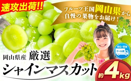 すぐ届く!【スピード出荷! 3-7営業日以内発送】シャインマスカット 厳選 訳あり シャインマスカット 約 4kg(5~8房) シャインマスカット シャインマスカット 訳あり シャインマスカット岡山