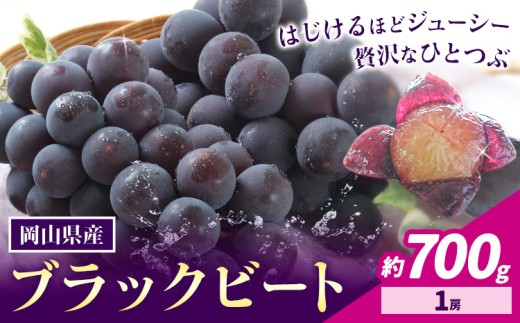 【2026年先行予約】岡山県産 ぶどう ブラックビート 700g 1房 株式会社 はちや《2026年8月上旬-9月上旬頃出荷》岡山 国産 葡萄 フルーツ 果物 岡山県 浅口市 フルーツ 果物【配送不可地域あり】
