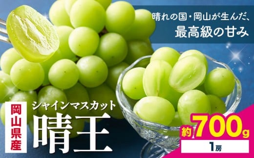 【2026年先行予約】 岡山県産 シャインマスカット 晴王 700g 1房 株式会社はちや《2026年7月上旬‐8月下旬頃出荷》岡山県 浅口市 ぶどう 葡萄 フルーツ ギフト 果物 デザート 国産【配送不可地