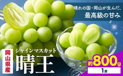 【2026年先行予約】 岡山県産 シャインマスカット 晴王 800g 1房 株式会社はちや《2026年7月上旬‐8月下旬頃出荷》岡山県 浅口市 ぶどう 葡萄 フルーツ ギフト 果物 デザート 国産【配送不可地