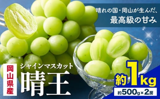 【2026年先行予約】 岡山県産 シャインマスカット 晴王 計 1kg 2房 株式会社はちや《2026年7月上旬‐8月下旬頃出荷》岡山県 浅口市 ぶどう 葡萄 フルーツ ギフト 果物 デザート 国産【配送不可