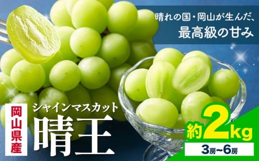 【2026年先行予約】 岡山県産 シャインマスカット 晴王 計 2kg 3房 〜 6房 株式会社はちや《2026年7月上旬‐8月下旬頃出荷》岡山県 浅口市 ぶどう 葡萄 フルーツ ギフト 果物 デザート 国産【配