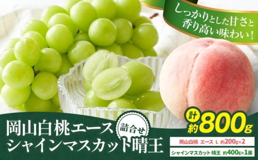 【2026年先行予約】岡山県産 岡山白桃 エース L~ 3Lサイズ シャインマスカット 計 800g 詰合せ 株式会社 はちや《2026年7月上旬-8月下旬頃出荷》もも 岡山 国産 フルーツ 果物 岡山県 浅口市 フル