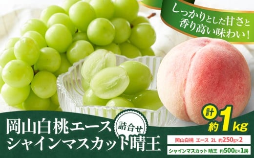 【2026年先行予約】岡山県産 岡山白桃 エース L~ 3Lサイズ シャインマスカット 計 1kg 詰合せ 株式会社 はちや《2026年7月上旬-8月下旬頃出荷》もも 岡山 国産 フルーツ 果物 岡山県 浅口市 フル