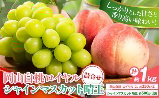 【2026年先行予約】岡山県産 岡山白桃 ロイヤル L~ 3Lサイズ シャインマスカット 計 1kg 詰合せ 株式会社 はちや《2026年7月上旬‐8月下旬頃出荷》もも 岡山 国産 フルーツ 果物 岡山県 浅口市