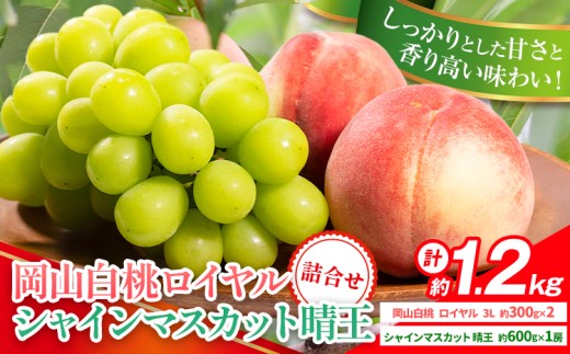 【2026年先行予約】岡山県産 岡山白桃 ロイヤル L~ 3Lサイズ シャインマスカット 計 1.2kg 詰合せ 株式会社 はちや《2026年7月上旬‐8月下旬頃出荷》もも 岡山 国産 フルーツ 果物 岡山県 浅口市