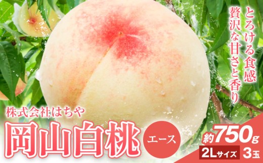 【2026年先行予約】岡山白桃 等級 エース 約750g《2026年7月上旬‐8月下旬頃出荷》株式会社 はちや もも モモ 岡山 国産 フルーツ 果物 岡山県 浅口市 フルーツ モモ 果物 青果 旬 白桃 国産 岡