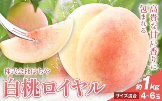 【2026年先行予約】岡山白桃 等級 ロイヤル 約1kg《2026年7月上旬‐8月下旬頃出荷》もも モモ 岡山 国産 フルーツ 果物 岡山県 浅口市 株式会社 はちや フルーツ モモ 果物 青果 旬 白桃 国産 岡
