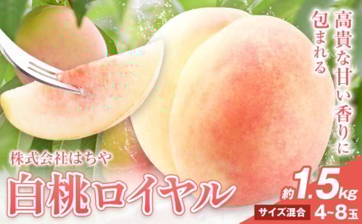 【2026年先行予約】岡山白桃 等級 ロイヤル 約1.5kg《2026年7月上旬‐8月下旬頃出荷》もも モモ 岡山 国産 フルーツ 果物 岡山県 浅口市 株式会社 はちや フルーツ モモ 果物 青果 旬 白桃 国産