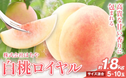 【2026年先行予約】岡山白桃 等級 ロイヤル 約1.8kg《2026年7月上旬‐8月下旬頃出荷》もも モモ 岡山 国産 フルーツ 果物 岡山県 浅口市 株式会社 はちや フルーツ モモ 果物 青果 旬 白桃 国産