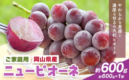 【2026年先行予約】岡山県産 ご家庭用 ニューピオーネ詰合せ 計600g 株式会社はちや《2026年8月下旬-9月下旬頃出荷》岡山県 浅口市 ぶどう 葡萄 フルーツ ギフト 果物 デザート 国産 【配送不