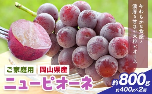 【2026年先行予約】岡山県産 ご家庭用 ニューピオーネ詰合せ 計800g 株式会社はちや《2026年8月下旬-9月下旬頃出荷》岡山県 浅口市 ぶどう 葡萄 フルーツ ギフト 果物 デザート 国産 【配送不