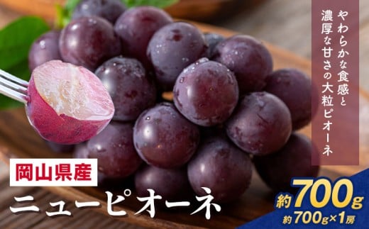 【2026年先行予約】 岡山県産 ニューピオーネ詰合せ 選べる 計 700g 株式会社はちや《2026年6月下旬‐7月下旬頃出荷》岡山県 浅口市 ぶどう 葡萄 フルーツ ギフト 果物 デザート 国産 【配送不