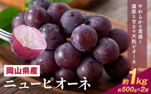 【2026年先行予約】 岡山県産 ニューピオーネ詰合せ 選べる 計 1kg 株式会社はちや《2026年6月下旬‐7月下旬頃出荷》岡山県 浅口市 ぶどう 葡萄 フルーツ ギフト 果物 デザート 国産 【配送不
