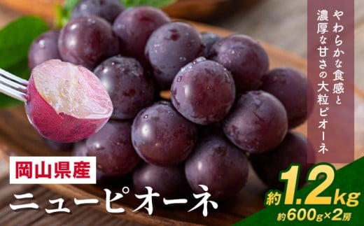 【2026年先行予約】 岡山県産 ニューピオーネ詰合せ 選べる 計 1.2kg 株式会社はちや《2026年6月下旬‐7月下旬頃出荷》岡山県 浅口市 ぶどう 葡萄 フルーツ ギフト 果物 デザート 国産 【配送不