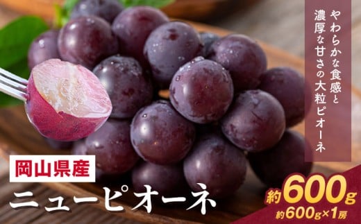 【2026年先行予約】 岡山県産 ニューピオーネ詰合せ 選べる 計 600g 株式会社はちや《2026年8月下旬‐9月下旬頃出荷》岡山県 浅口市 ぶどう 葡萄 フルーツ ギフト 果物 デザート 国産 【配送不